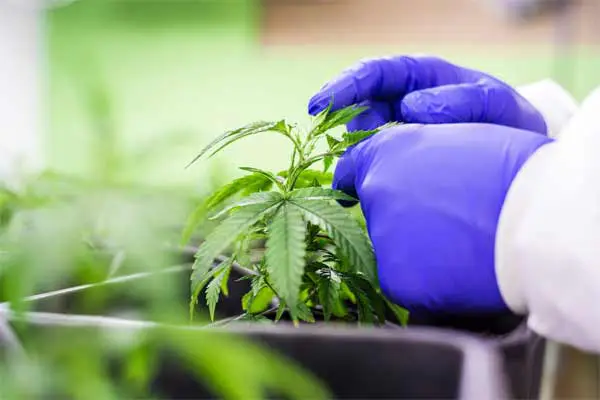 Medical Treatment image